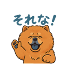 ポジティブチャウチャウ⭐︎元気スタンプ（個別スタンプ：7）