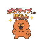 ポジティブチャウチャウ⭐︎元気スタンプ（個別スタンプ：9）