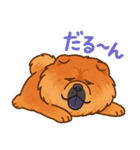 ポジティブチャウチャウ⭐︎元気スタンプ（個別スタンプ：10）