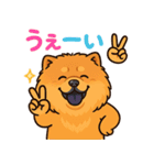 ポジティブチャウチャウ⭐︎元気スタンプ（個別スタンプ：11）