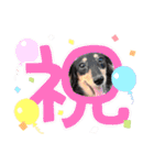 ＊ みなハロなぎスタンプ ＊（個別スタンプ：29）
