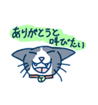 感謝を伝えるにゃんズ（個別スタンプ：16）