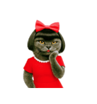 マダム・ルビーキャット（個別スタンプ：1）