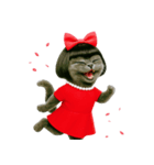 マダム・ルビーキャット（個別スタンプ：3）