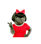 マダム・ルビーキャット（個別スタンプ：10）