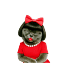 マダム・ルビーキャット（個別スタンプ：24）
