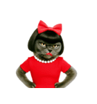 マダム・ルビーキャット（個別スタンプ：30）