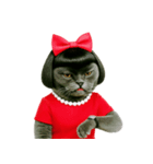 マダム・ルビーキャット（個別スタンプ：39）