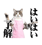関西弁おかん猫。にゃんとも！ミーム（個別スタンプ：1）