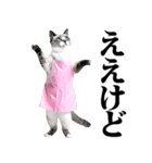 関西弁おかん猫。にゃんとも！ミーム（個別スタンプ：2）