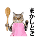 関西弁おかん猫。にゃんとも！ミーム（個別スタンプ：8）