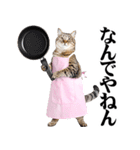 関西弁おかん猫。にゃんとも！ミーム（個別スタンプ：9）