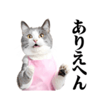 関西弁おかん猫。にゃんとも！ミーム（個別スタンプ：10）