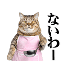 関西弁おかん猫。にゃんとも！ミーム（個別スタンプ：11）