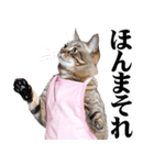 関西弁おかん猫。にゃんとも！ミーム（個別スタンプ：14）