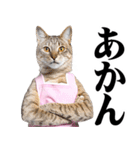 関西弁おかん猫。にゃんとも！ミーム（個別スタンプ：17）
