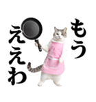 関西弁おかん猫。にゃんとも！ミーム（個別スタンプ：20）