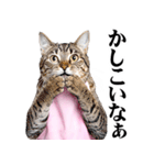 関西弁おかん猫。にゃんとも！ミーム（個別スタンプ：23）