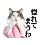関西弁おかん猫。にゃんとも！ミーム（個別スタンプ：24）