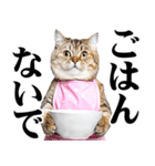 関西弁おかん猫。にゃんとも！ミーム（個別スタンプ：26）