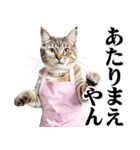 関西弁おかん猫。にゃんとも！ミーム（個別スタンプ：27）