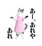 関西弁おかん猫。にゃんとも！ミーム（個別スタンプ：28）