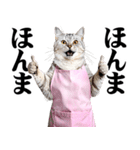 関西弁おかん猫。にゃんとも！ミーム（個別スタンプ：30）