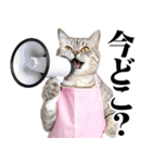 関西弁おかん猫。にゃんとも！ミーム（個別スタンプ：32）