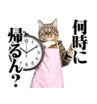関西弁おかん猫。にゃんとも！ミーム（個別スタンプ：33）