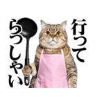 関西弁おかん猫。にゃんとも！ミーム（個別スタンプ：37）