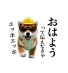 動く柴犬エッホエッホ☆現場仕事（個別スタンプ：1）