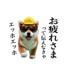 動く柴犬エッホエッホ☆現場仕事（個別スタンプ：3）