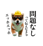 動く柴犬エッホエッホ☆現場仕事（個別スタンプ：8）