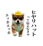 動く柴犬エッホエッホ☆現場仕事（個別スタンプ：12）