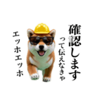 動く柴犬エッホエッホ☆現場仕事（個別スタンプ：15）