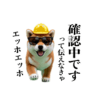 動く柴犬エッホエッホ☆現場仕事（個別スタンプ：16）