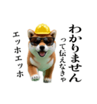 動く柴犬エッホエッホ☆現場仕事（個別スタンプ：18）