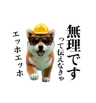 動く柴犬エッホエッホ☆現場仕事（個別スタンプ：19）