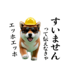動く柴犬エッホエッホ☆現場仕事（個別スタンプ：20）