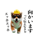 動く柴犬エッホエッホ☆現場仕事（個別スタンプ：22）