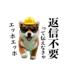 動く柴犬エッホエッホ☆現場仕事（個別スタンプ：24）