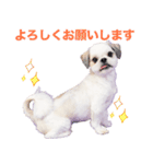 ラッキーちゃんの可愛いスタンプです❕（個別スタンプ：5）