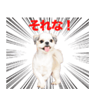 ラッキーちゃんの可愛いスタンプです❕（個別スタンプ：8）