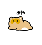 まんまるタヌキ（文字付き）（個別スタンプ：12）