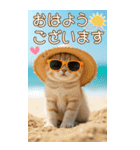 麦わら帽ネコ 思いやり 気づかい 敬語 BIG（個別スタンプ：1）