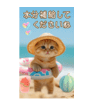 麦わら帽ネコ 思いやり 気づかい 敬語 BIG（個別スタンプ：15）