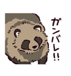 エゾタヌキです（個別スタンプ：3）