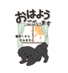 やさしいトイプードル『仕事＆連絡』（個別スタンプ：1）