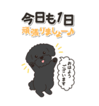 やさしいトイプードル『仕事＆連絡』（個別スタンプ：3）