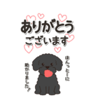 やさしいトイプードル『仕事＆連絡』（個別スタンプ：5）